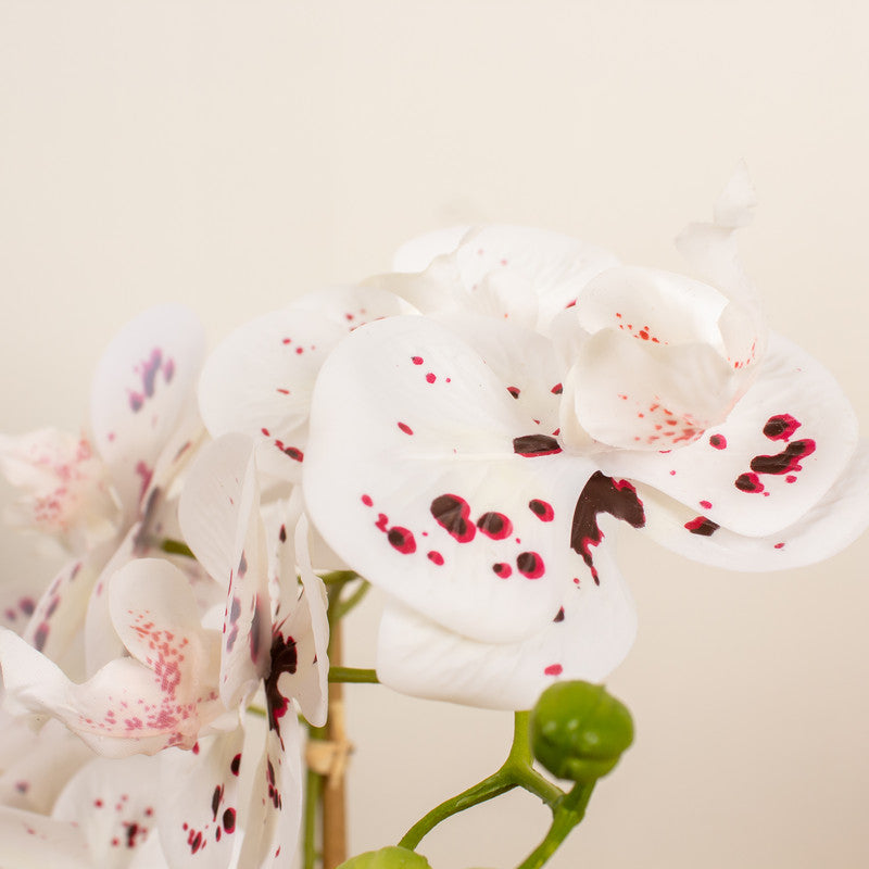 45cm Real Touch White Speckled Phalaenopsis Orchid